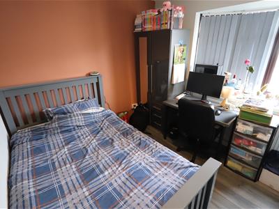 Picture 20